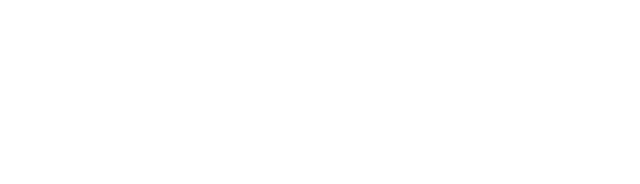 Чиним Сервис
